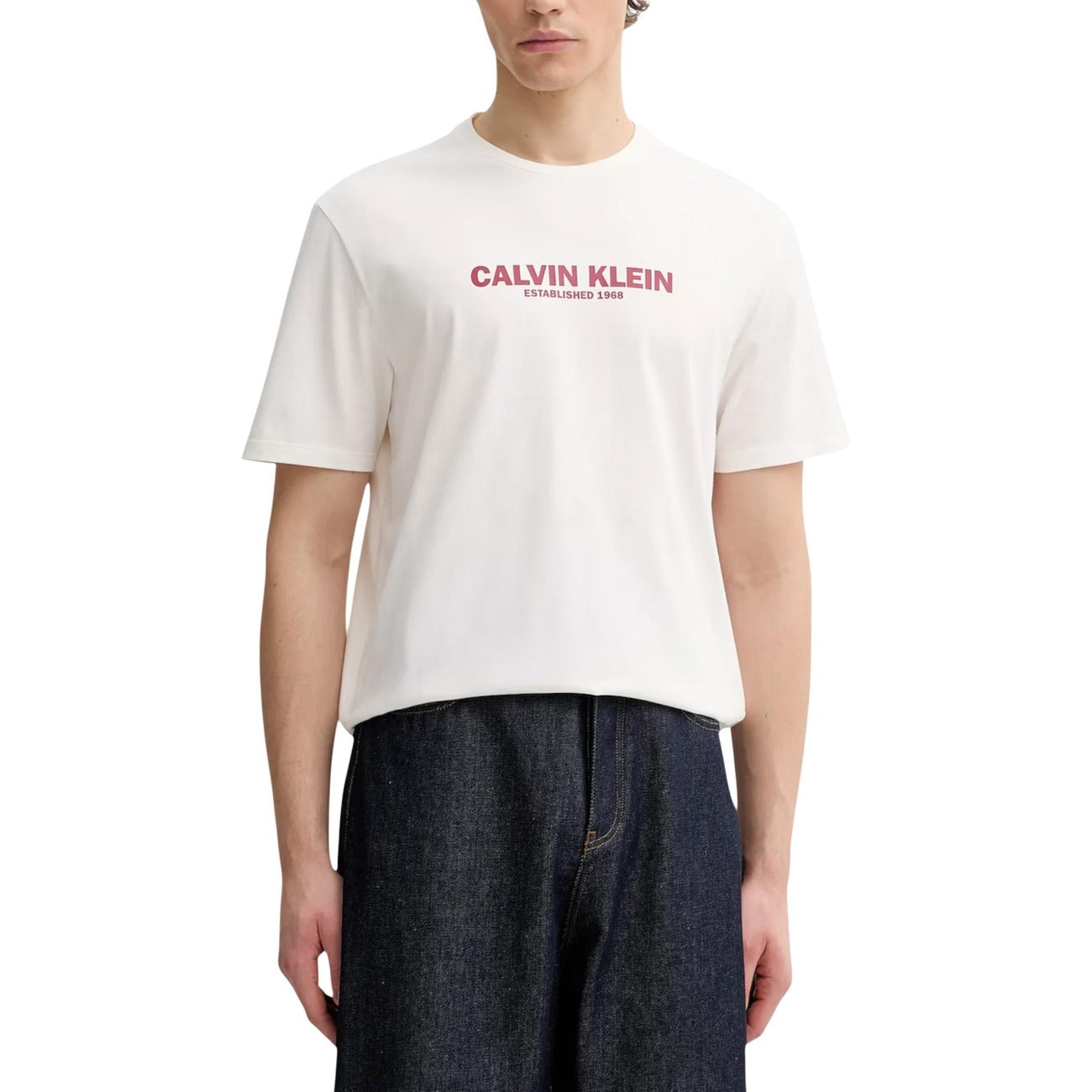 Calvin Klein - Calvin Klein T-shirt Man