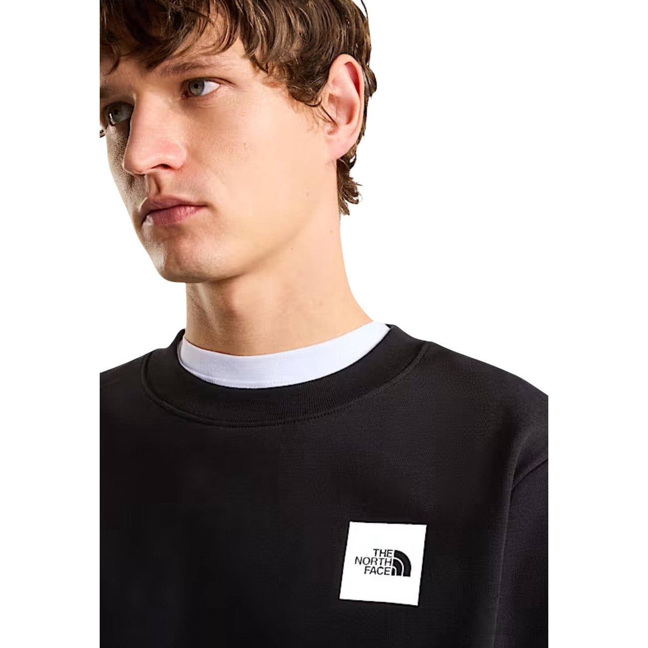 The North Face - The North Face Tröja Man